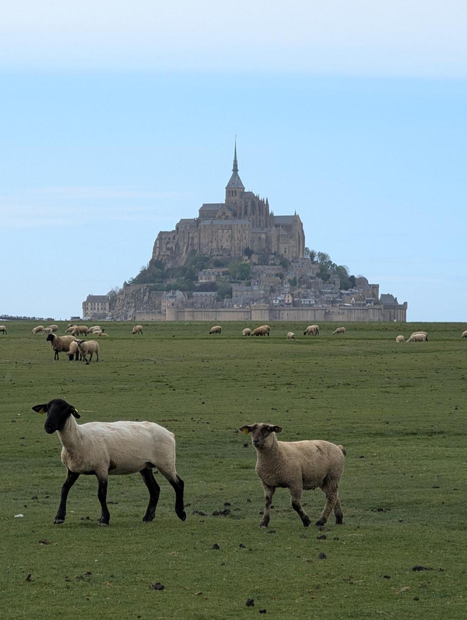 A L Ombre Du Mont Saint Michel Acomodação com café da manhã Huisnes-sur-Mer Exterior foto
